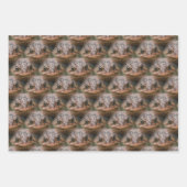 Niedliches Toad Face Animal Muster Geschenkpapier Set (Vorderseite 3)