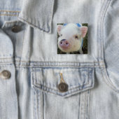 Niedliches Topf-Bauch-Schwein Button (Beispiel)
