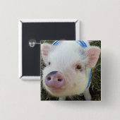 Niedliches Topf-Bauch-Schwein Button (Vorne & Hinten)