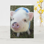 Niedliches Topf-Bauch-Schwein Karte (Gelbe Blume)