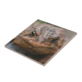 Niedliches Totkopftier Fliese (Seite)