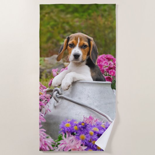 Niedliches Tricolor Beagle-Hundewelpen-Haustier in Strandtuch (Vorderseite)
