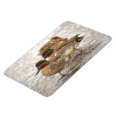 Niedliches Trio der grünen Tees Magnet (Linke Seite)