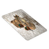 Niedliches Trio der grünen Tees Magnet (Rechte Seite)