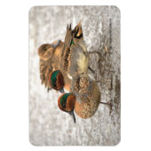 Niedliches Trio der grünen Tees Magnet (Vertikal)