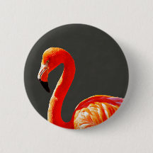 Niedliches tropisches, hellrosa Flamingo