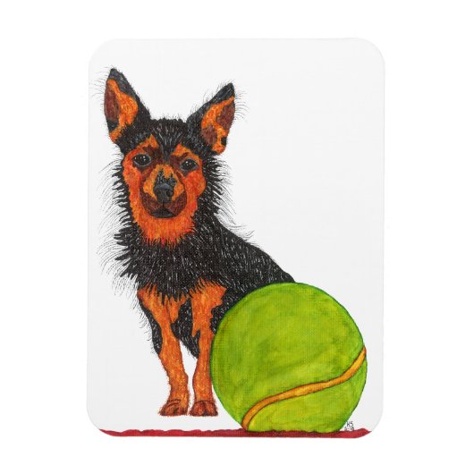 Niedliches und Adorable Chorkie Dog Magnet 3"x4" (Vertikal)