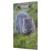 Niedliches und cuddly Wombat Tasmanien Australien Klemmbrett (Links)