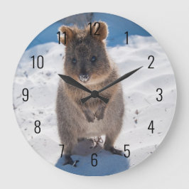 Niedliches und glückliches Quokka am Strand Austra Große Wanduhr