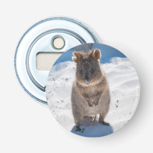 Niedliches und glückliches Quokka am Strand in Aus Flaschenöffner