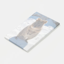 Niedliches und glückliches Quokka am Strand in Aus Post-it Klebezettel