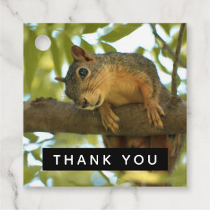 Niedliches und kurioses Eichhörnchen Natur-Foto - Geschenkanhänger
