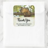 Niedliches und kurioses Eichhörnchen Natur-Foto - Quadratischer Aufkleber (Tasche)