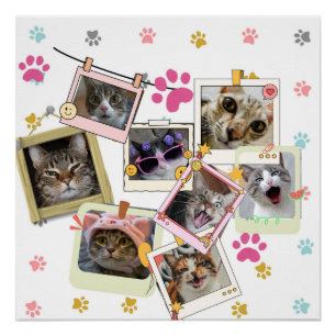 Niedliches und lustiges Katzendesign Poster