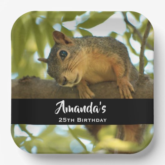 Niedliches und merkwürdiges Eichhörnchen Natur Fot Pappteller (Vorderseite)