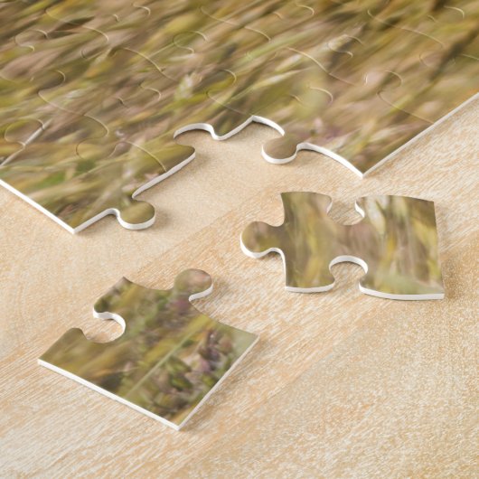 Niedliches und neugieriges Ostküstenkaninchen Puzzle (Seite)