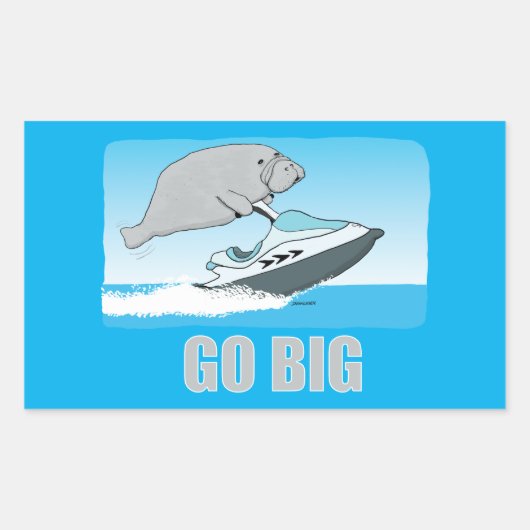 Niedliches und sonniges Herrenhaus am Jet Ski T - Rechteckiger Aufkleber (Vorderseite)