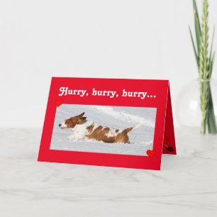 Niedliches Valentine mit dem Funny Basset Hound Ru Feiertagskarte