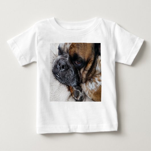 Niedliches Viktorianisches Bulldog Foto Baby Shirt (Vorderseite)