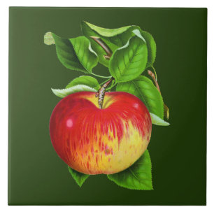 Niedliches Vintages Apple Küchendekor Fliese