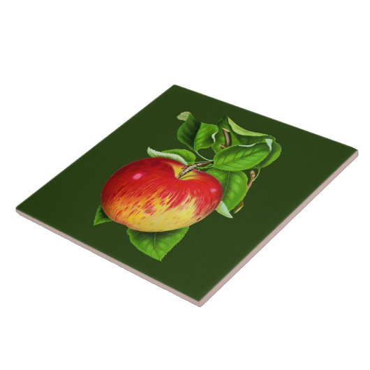 Niedliches Vintages Apple Küchendekor Fliese (Seite)
