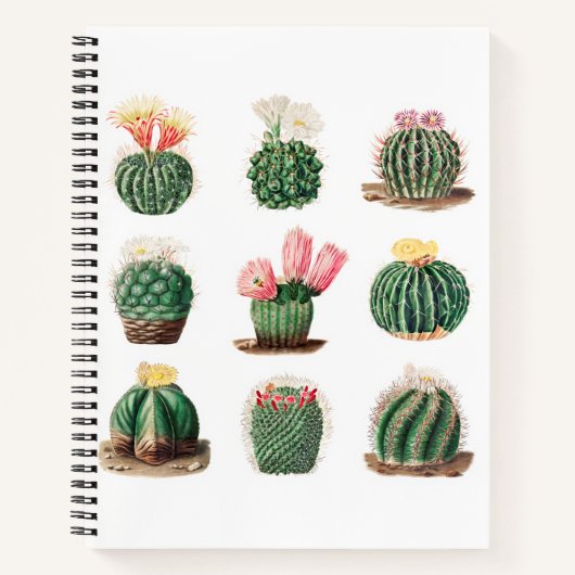 Niedliches Vintages Cacti Succulents Sketchbook Notizblock (Vorderseite)