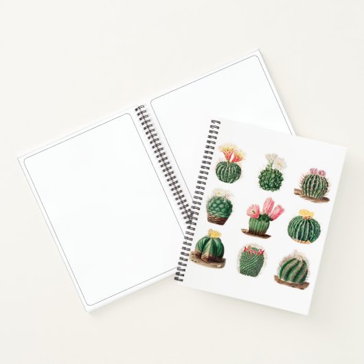 Niedliches Vintages Cacti Succulents Sketchbook Notizblock (Innenseite)