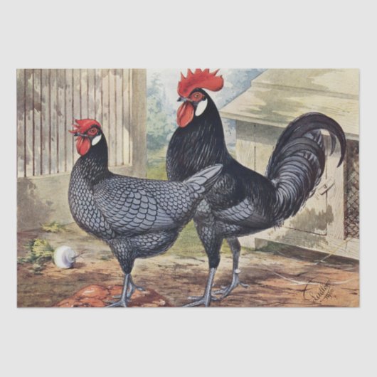 Niedliches Vintages Party Seidenpapier (Vorderseite)