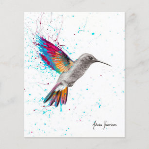 Niedliches Vogelgerlebnis - Vollfarbengeschenk Vo Flyer