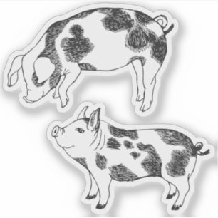 Niedliches, von der Hand gezogenes Schwein mit Kuh Aufkleber