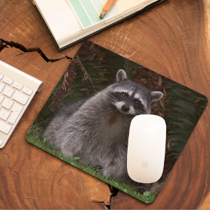Niedliches Waldraccoon-Foto Mousepad