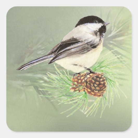 Niedliches Wasserbad Chickadee Bird in Pine Tree Quadratischer Aufkleber (Vorderseite)