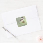 Niedliches Wasserbad Chickadee Bird in Pine Tree Quadratischer Aufkleber (Umschlag)