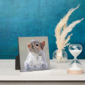 Niedliches, weiches und flauschiges, graues Eichhö Fotoplatte (InSitu)