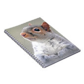 Niedliches, weiches und flauschiges, graues Eichhö Notizblock (Rechte Seite)