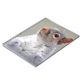 Niedliches, weiches und flauschiges, graues Eichhö Notizblock (Linke Seite)