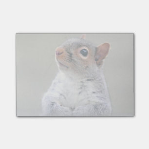 Niedliches, weiches und flauschiges, graues Eichhö Post-it Klebezettel