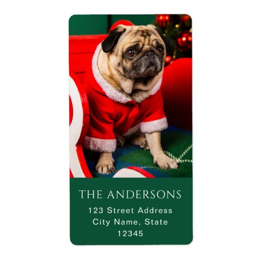 Niedliches Weihnachts-Peppy-Hund Haustier Foto Lov (Vorne)