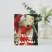 Niedliches Weihnachtsbär Foto Postkarte (Stehend Vorderseite)
