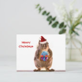 Niedliches Weihnachtshörnchen Feiertagspostkarte (Stehend Vorderseite)