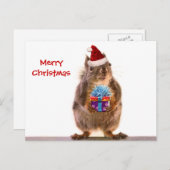 Niedliches Weihnachtshörnchen Feiertagspostkarte (Vorne/Hinten)