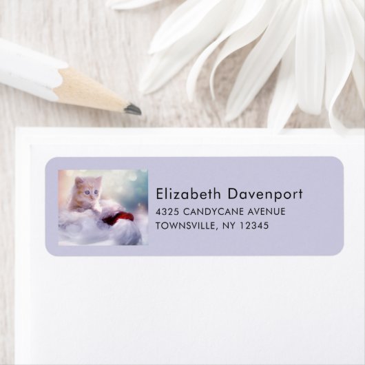 Niedliches Weihnachtskätzchen (Insitu)