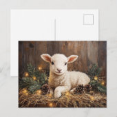 Niedliches Weihnachtslamm Rustikale Malerei Postkarte (Vorne/Hinten)