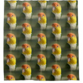 Niedliches Weiß aufgeblähter Caique-Papagei Duschvorhang (Vorderseite)