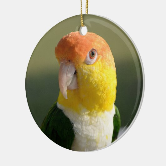Niedliches Weiß aufgeblähter Caique-Papagei Keramik Ornament (Links)
