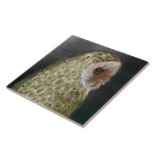 Niedliches Weiß Keramik Küche Tile Fliese (Seite)