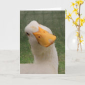 Niedliches Weiße Gänse Geburtstag Karte (Gelbe Blume)