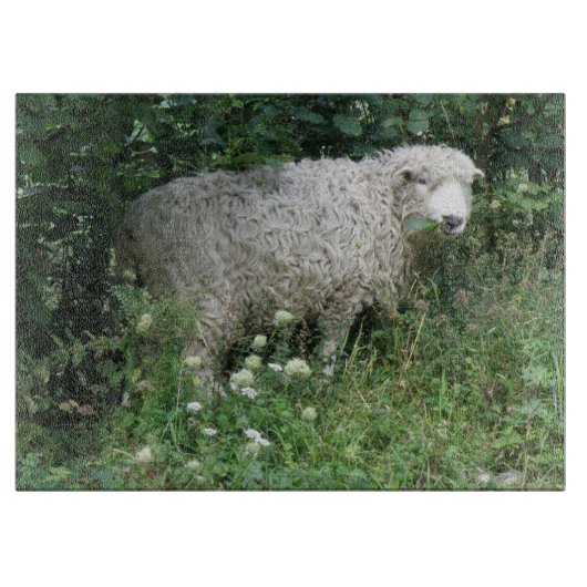 Niedliches weißes Faltenblatt Schneidebrett (Vorderseite)