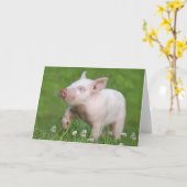 Niedliches Weißes Ferkel Riecht eine Blume Karte (Gelbe Blume)