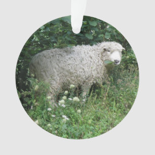 Niedliches weißes Fliegenschaf mit Acrylschmuck Ornament